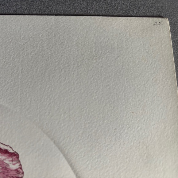 Iris etching signed/numbered Martha Hinson - Picture 2 of 4